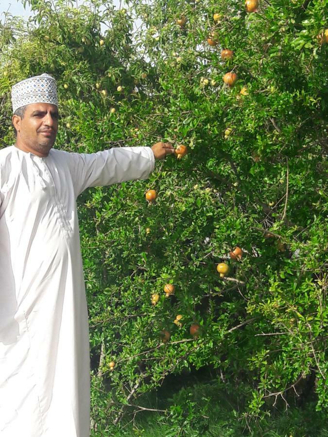 Abu Omair Jabal Shams House Hotel Al Ḩamrāʼ Buitenkant foto